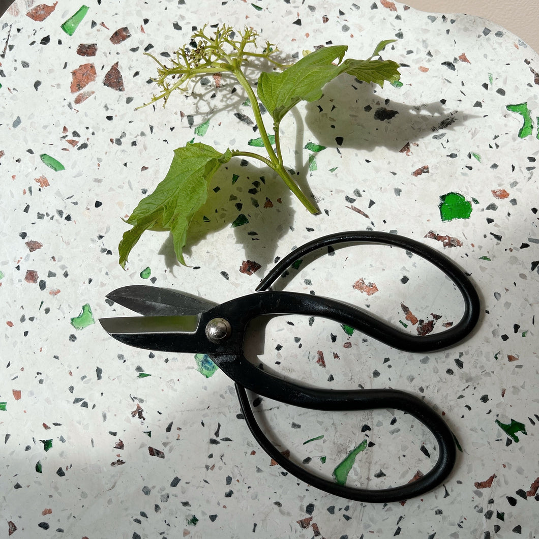 Professional Flowers Scissors